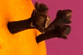 Österliche Bußzeit